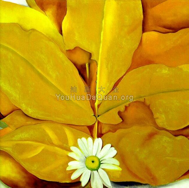 -Unknown - 乔治亚·奥基夫